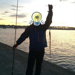 今朝も活性高し。テンポよく8匹ゲット。